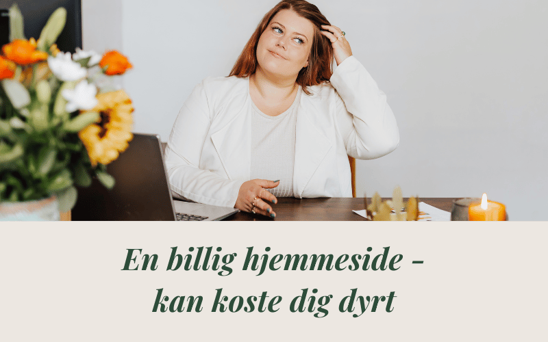 en-billig-hjemmeside-kan-koste-dig-dyrt